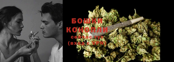 стаф Горнозаводск