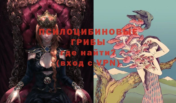 мдпв Горняк