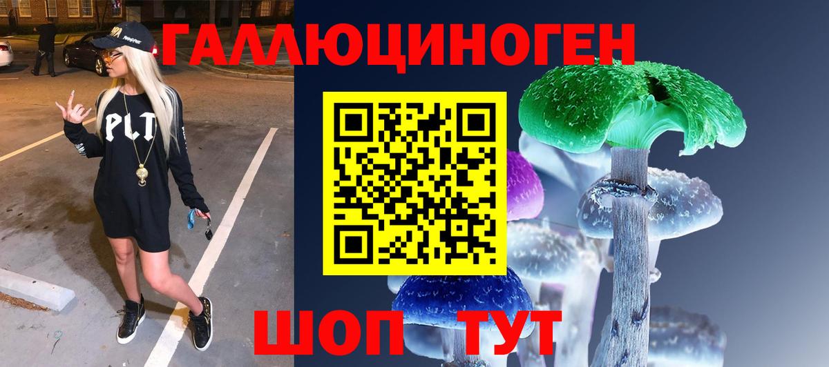 Псилоцибиновые грибы Psilocybine cubensis Тула