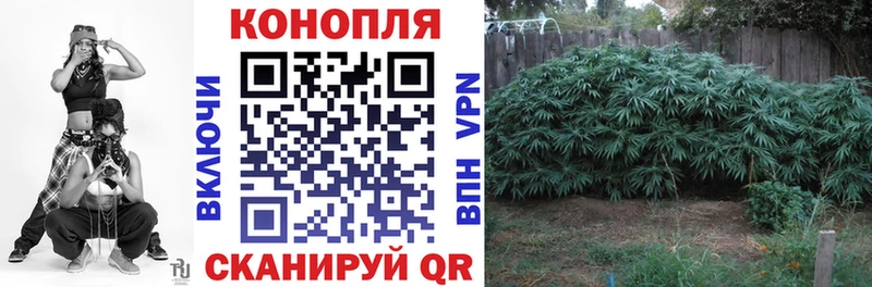МАРИХУАНА план  где найти наркотики  Тула 
